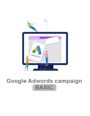 Google Ads Basic