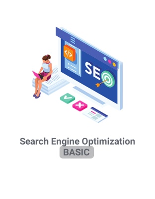 Social Media Optimization Basic + Ads