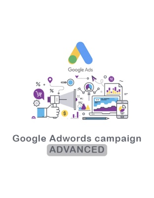 Google Ads Advance