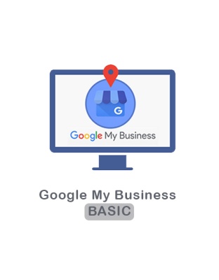 Google My Business Basic
