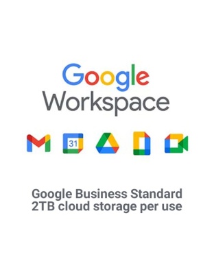 Google Business Standard
